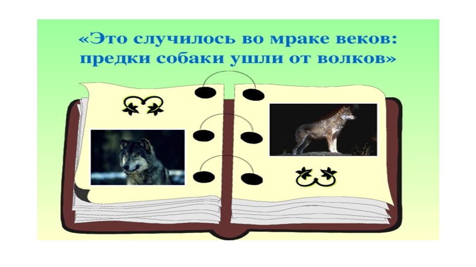 Презентация "собака друг человека"