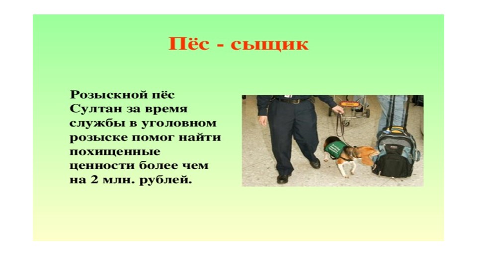 Презентация "собака друг человека"