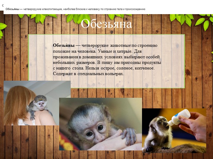 Презентация по познавательному развитию на тему "Редкие домашние животные" (Подготовительная группа).