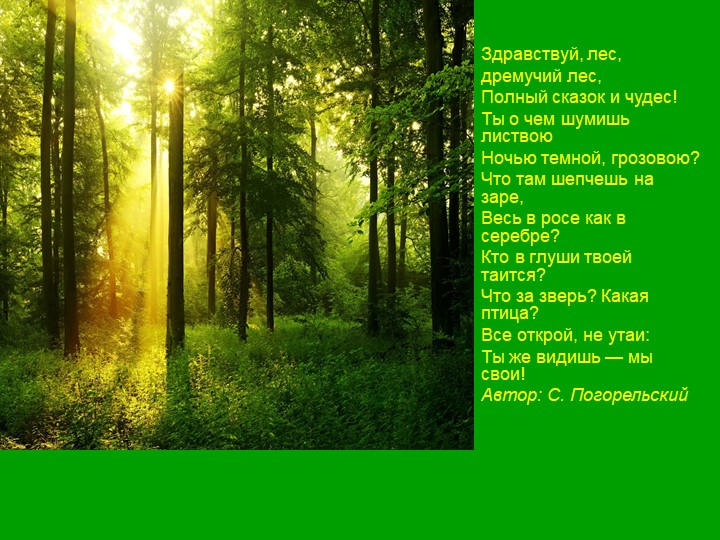 Презентация для старших дошкольников "Прогулка по лесу"