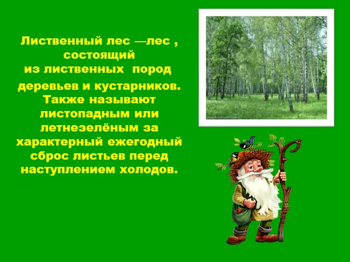 Презентация для старших дошкольников "Прогулка по лесу"