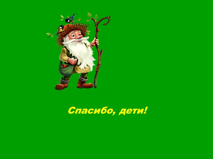 Презентация для старших дошкольников "Прогулка по лесу"