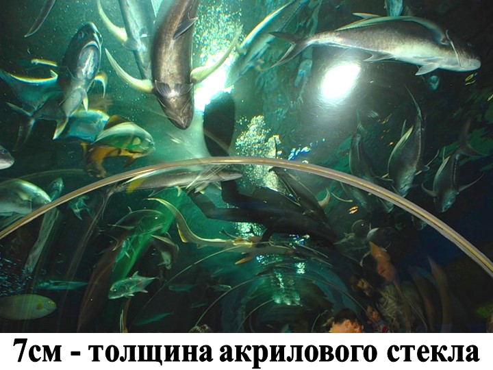 Презентация на тему "столица Казахстана- Астана"
