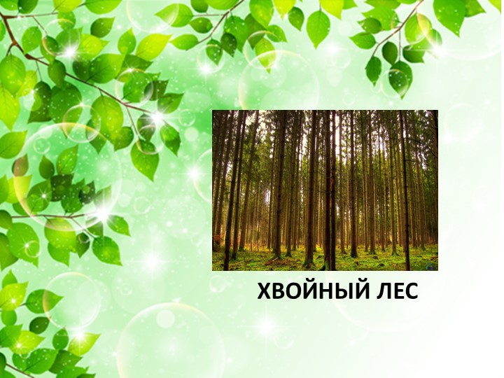 Презентация по экологии «Наш дом – природа. Наш общий дом — планета Земля».