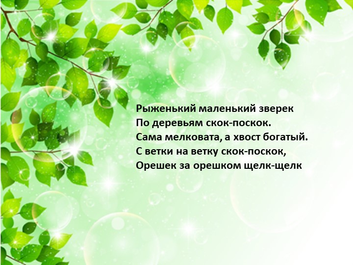Презентация по экологии «Наш дом – природа. Наш общий дом — планета Земля».