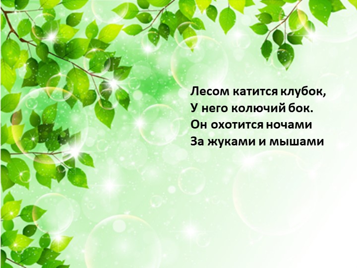 Презентация по экологии «Наш дом – природа. Наш общий дом — планета Земля».