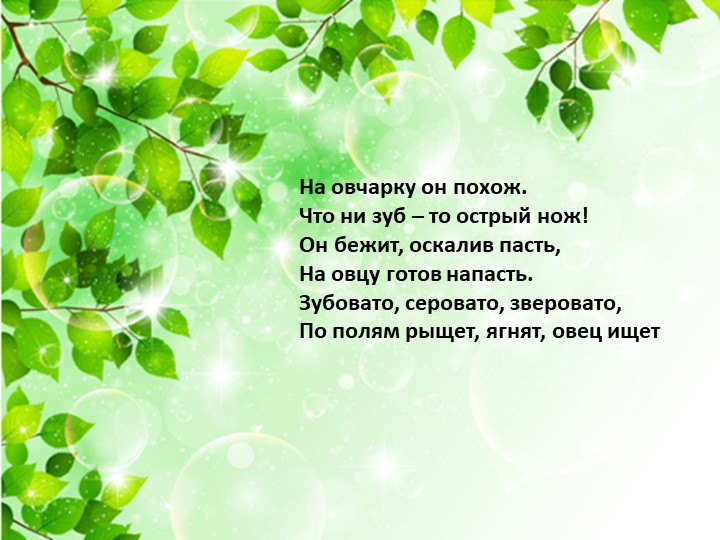 Презентация по экологии «Наш дом – природа. Наш общий дом — планета Земля».