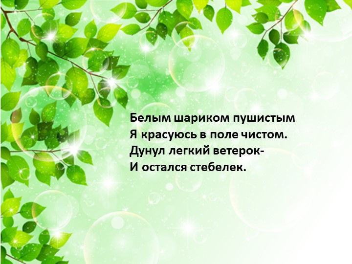 Презентация по экологии «Наш дом – природа. Наш общий дом — планета Земля».