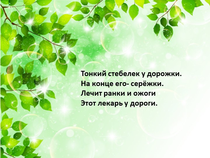 Презентация по экологии «Наш дом – природа. Наш общий дом — планета Земля».