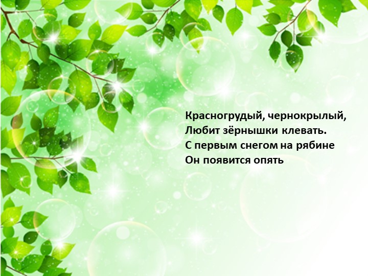 Презентация по экологии «Наш дом – природа. Наш общий дом — планета Земля».