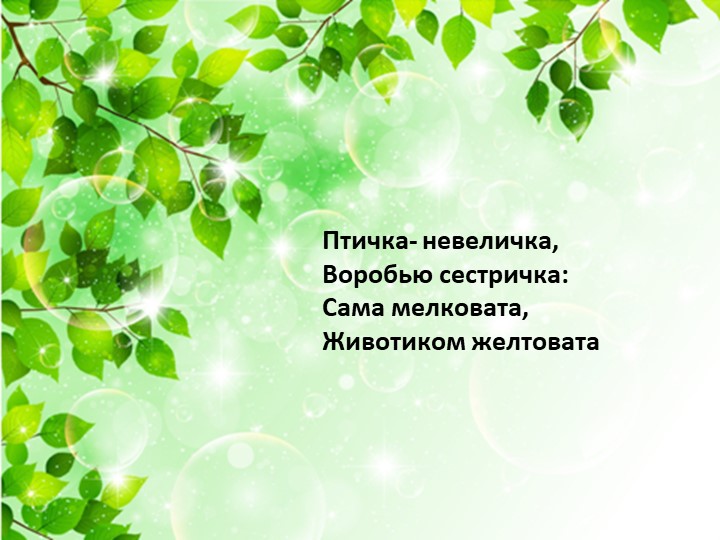 Презентация по экологии «Наш дом – природа. Наш общий дом — планета Земля».