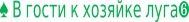 Shape4