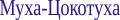 Shape5