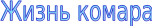 Shape8