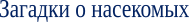 Shape10
