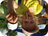 Picture 32