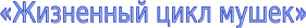 Shape12