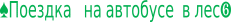 Shape23