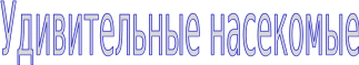 Shape26