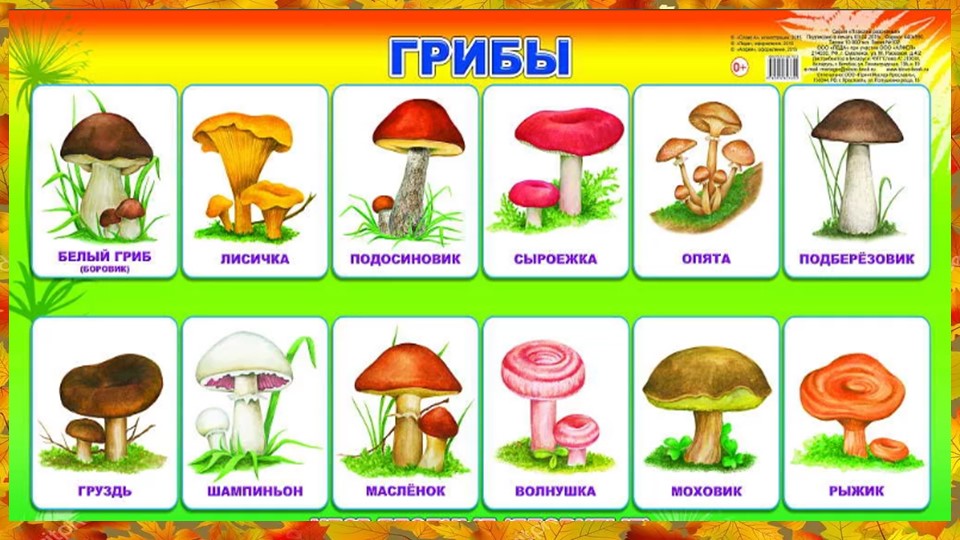 Лексическая тема "Грибы. Ягоды." подготовительная группа 1 занятие