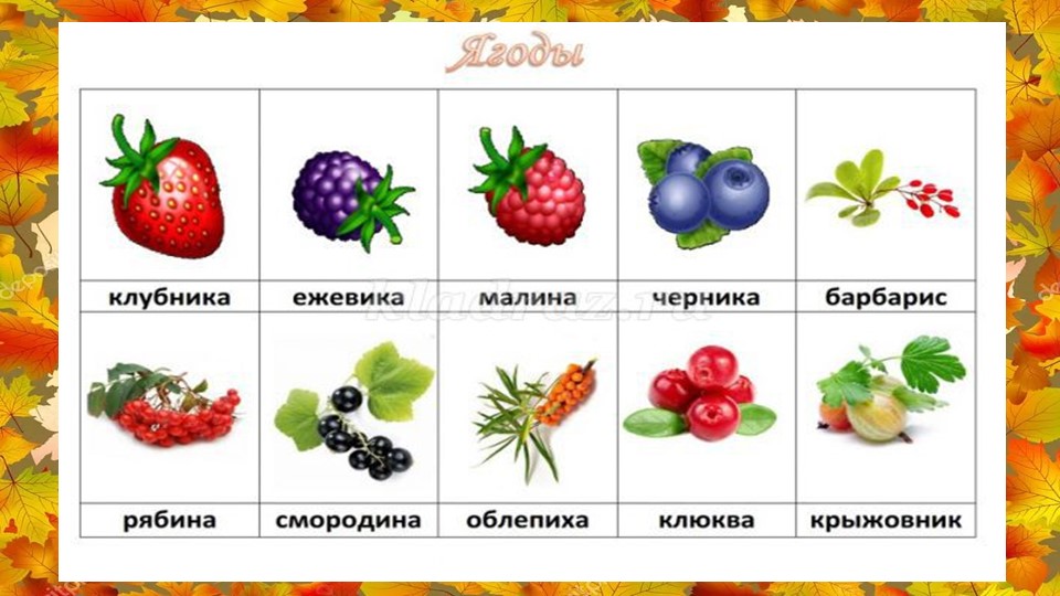 Лексическая тема "Грибы. Ягоды." подготовительная группа 1 занятие