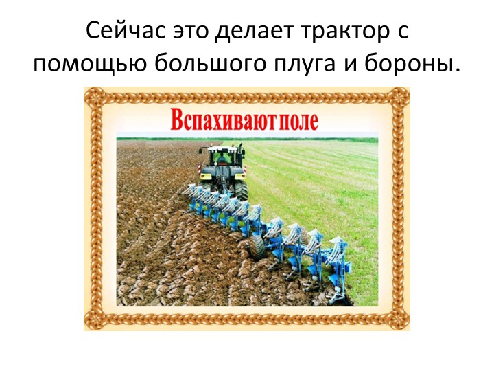 Презентация "Как выращивали хлеб раньше и сейчас"