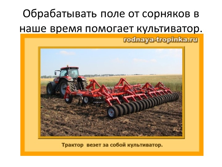 Презентация "Как выращивали хлеб раньше и сейчас"