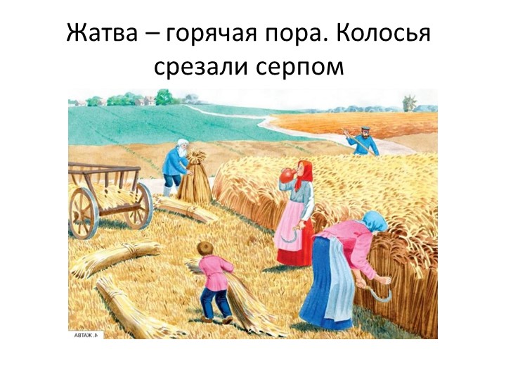 Презентация "Как выращивали хлеб раньше и сейчас"