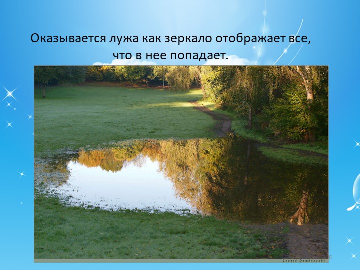 Проектная работа "кто рисует в лужах"