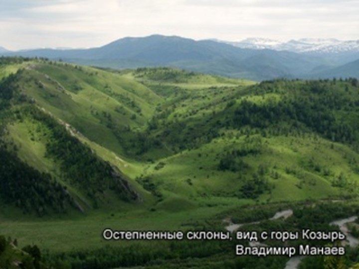 Презентация по экологии "Заповедник Тигирекский"