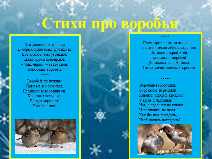 Презентация для детей "Зимующие птицы"