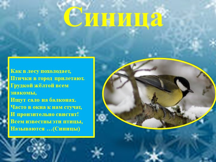 Презентация для детей "Зимующие птицы"