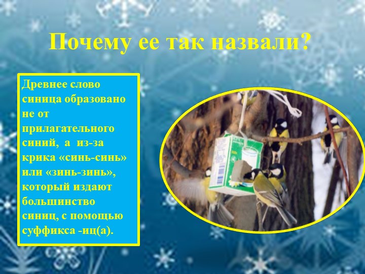 Презентация для детей "Зимующие птицы"