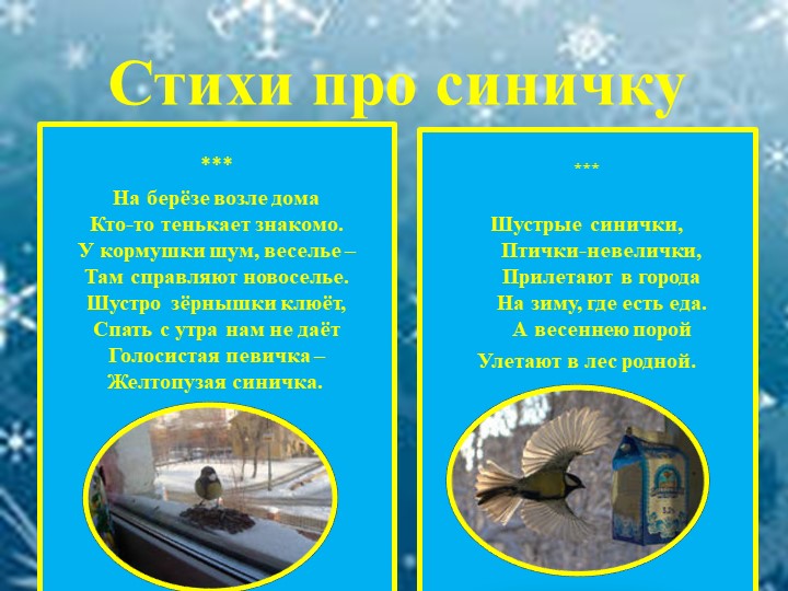 Презентация для детей "Зимующие птицы"