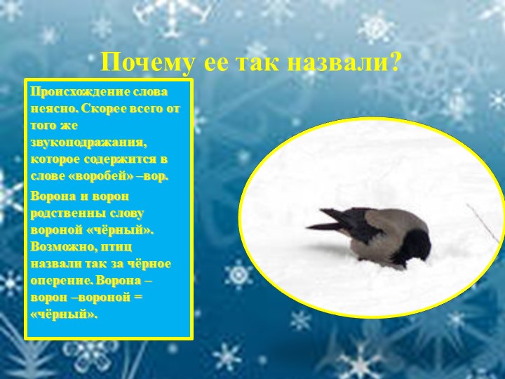 Презентация для детей "Зимующие птицы"