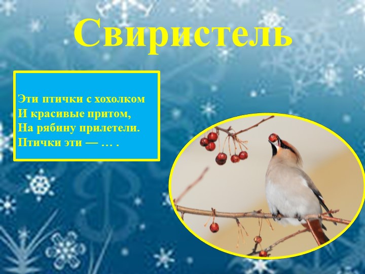 Презентация для детей "Зимующие птицы"