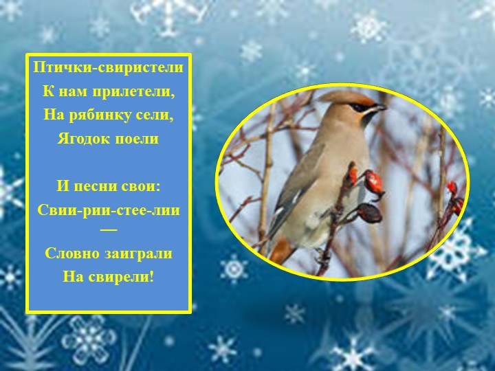 Презентация для детей "Зимующие птицы"