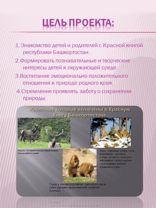 Презентация по экологическому воспитанию на тему "Проект "Красная книга" руками детей и родителей""