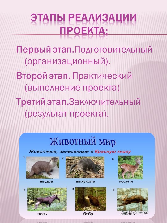 Презентация по экологическому воспитанию на тему "Проект "Красная книга" руками детей и родителей""