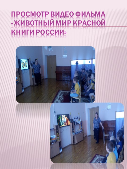 Презентация по экологическому воспитанию на тему "Проект "Красная книга" руками детей и родителей""