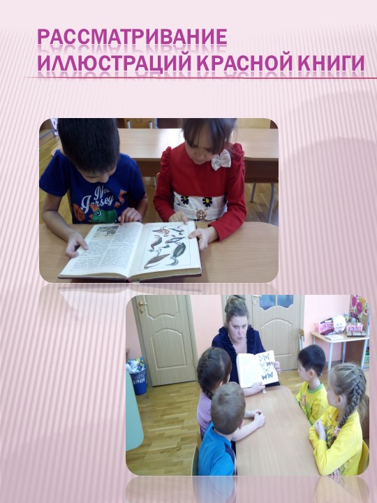 Презентация по экологическому воспитанию на тему "Проект "Красная книга" руками детей и родителей""