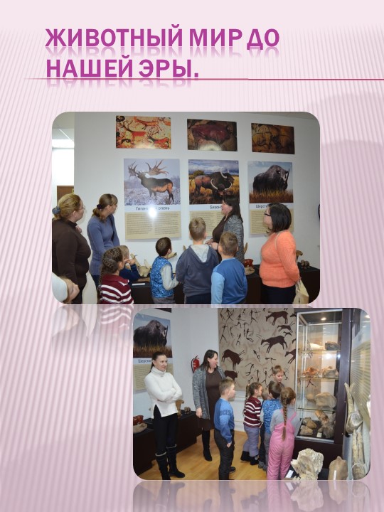 Презентация по экологическому воспитанию на тему "Проект "Красная книга" руками детей и родителей""