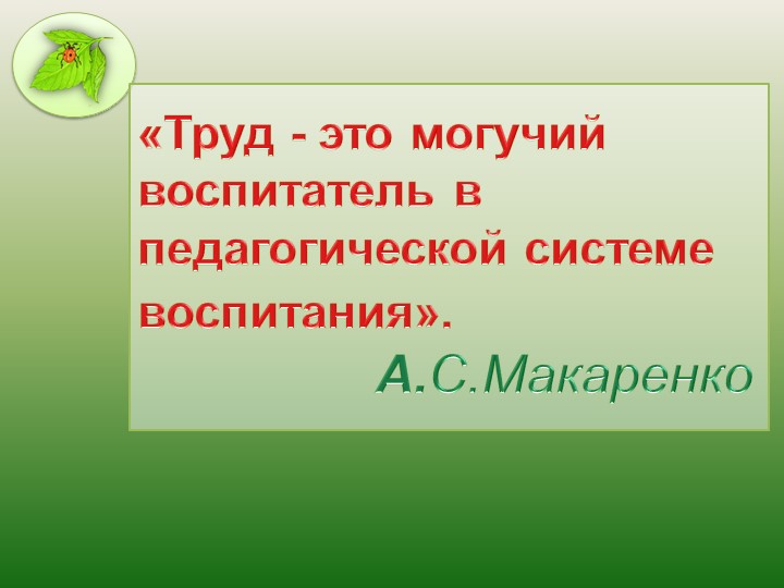 Презентация "Современный подход к трудовому воспитанию в ДОО"