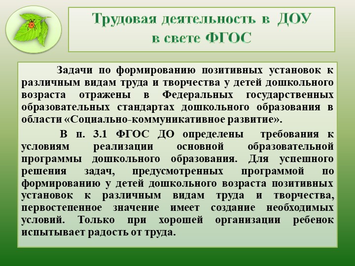 Презентация "Современный подход к трудовому воспитанию в ДОО"