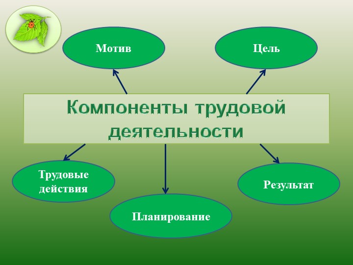Презентация "Современный подход к трудовому воспитанию в ДОО"