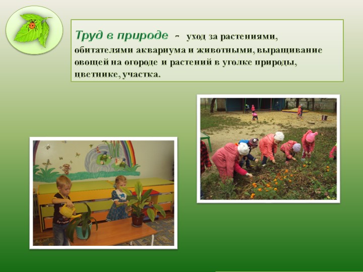 Презентация "Современный подход к трудовому воспитанию в ДОО"