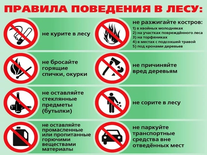 Презентация на тему "Помогите лесу"