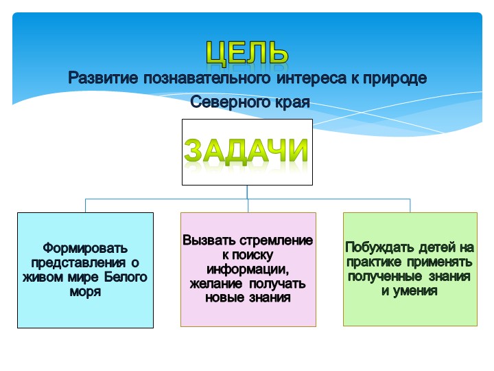 Презентация проекта "Белое море"