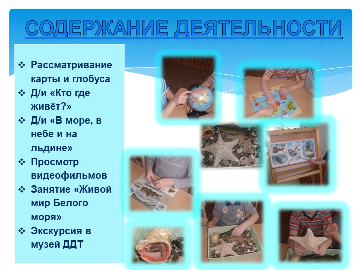 Презентация проекта "Белое море"