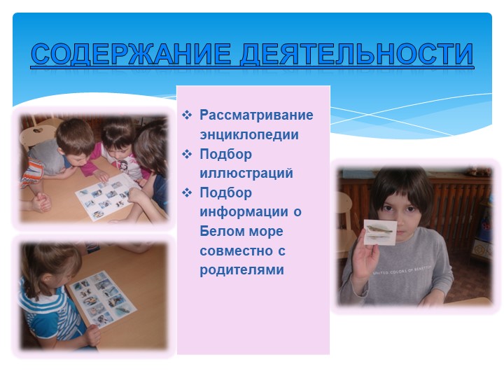 Презентация проекта "Белое море"